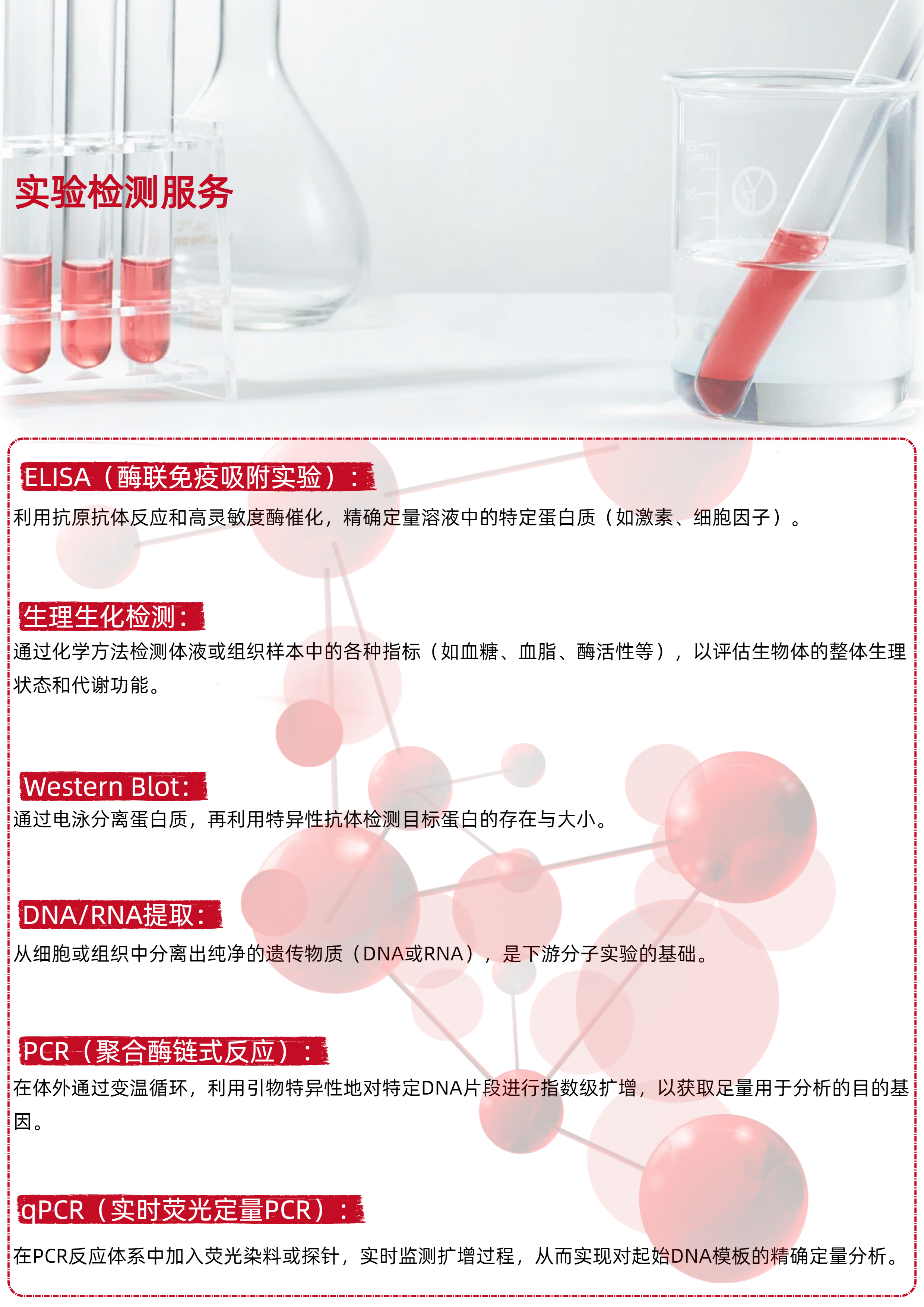 产品细节图片16