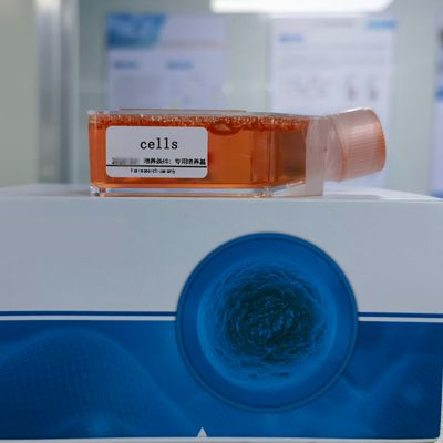 MCF-10F人永生化正常乳腺上皮细胞(STR鉴定)丨逸漠(immocell)产品图