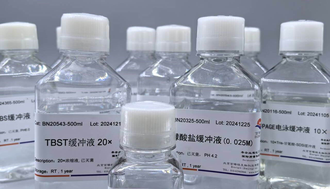 抗体稀释液