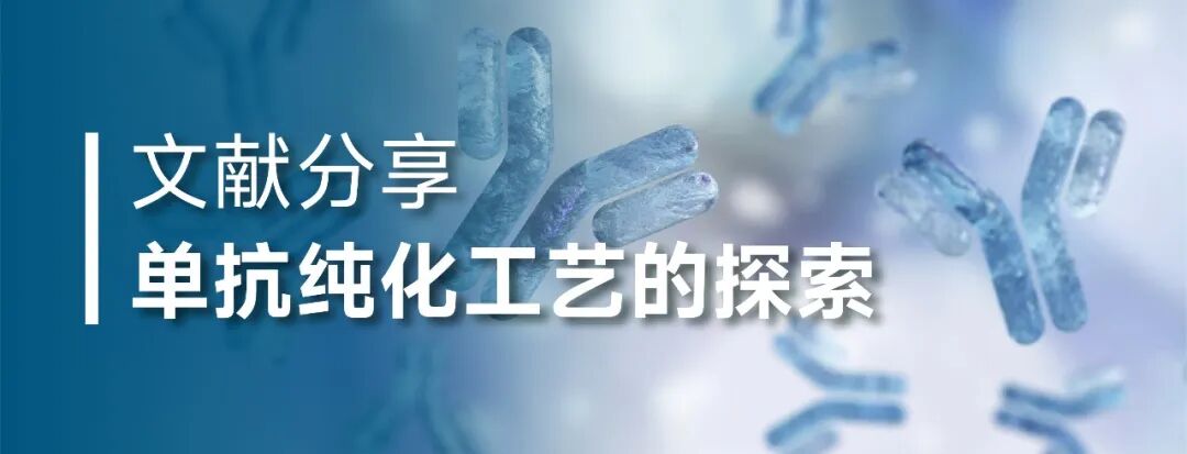 阴离子交换层析在阿达木单抗纯化中的工艺优化