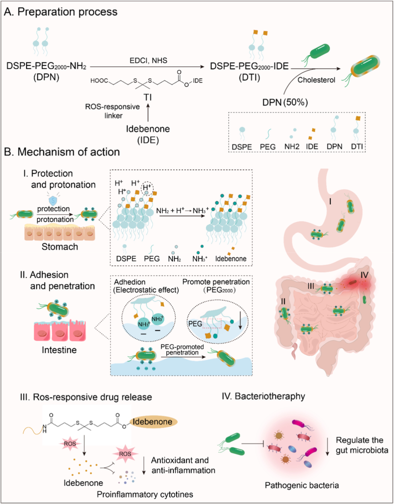 新闻图片3