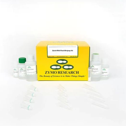Quick-RNA Plant Miniprep Kit（Quick-RNA 植物RNA小量提取试剂盒）产品图