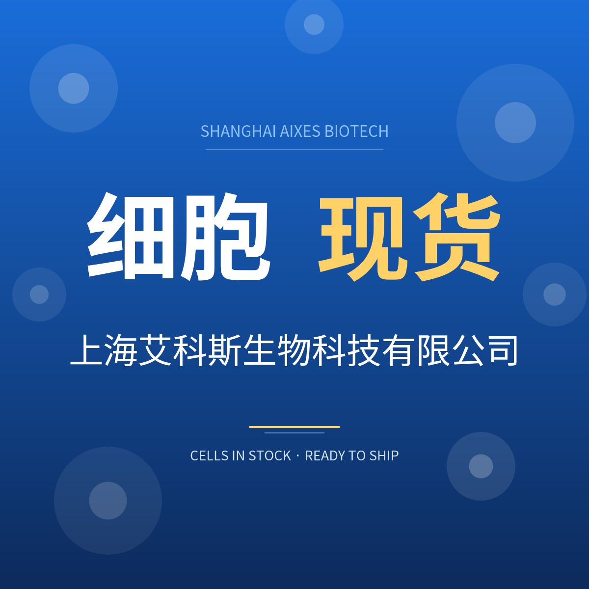 雅吉生物细胞代理