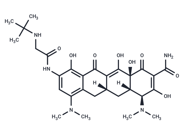 ■ 【TargetMol 明星分子】——Tigecycline：精准阻断核糖体翻译、调控广谱抗菌活性与自噬的关键工具