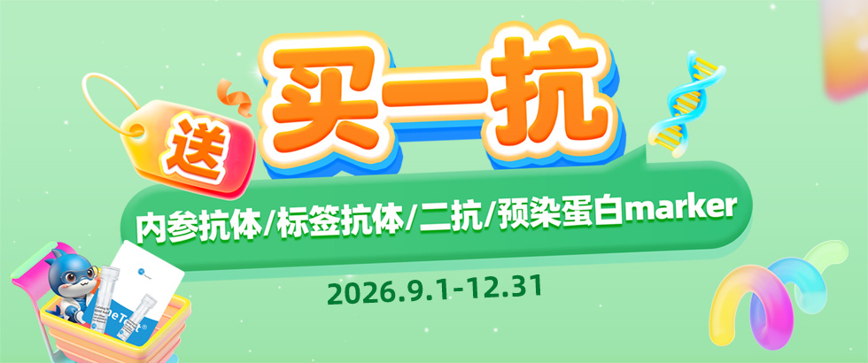 一抗活动.jpg