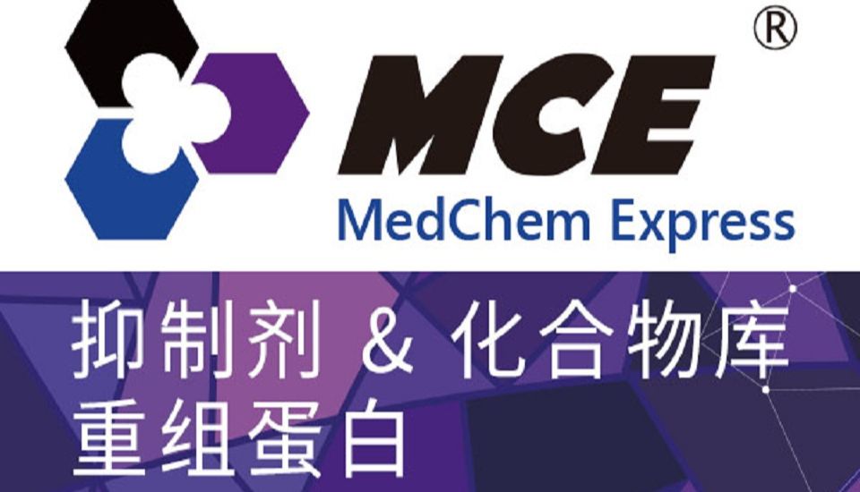 KAT2B 抗体 (YA4403)，HY-P84706｜组蛋白乙酰化与转录调控科研应用综述