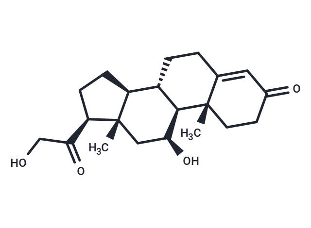 ■ 【TargetMol 明星分子】——Corticosterone：揭示压力与代谢调控之间的关键联系