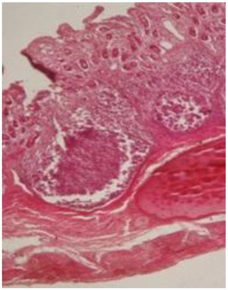 新闻图片7