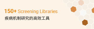 新闻图片3