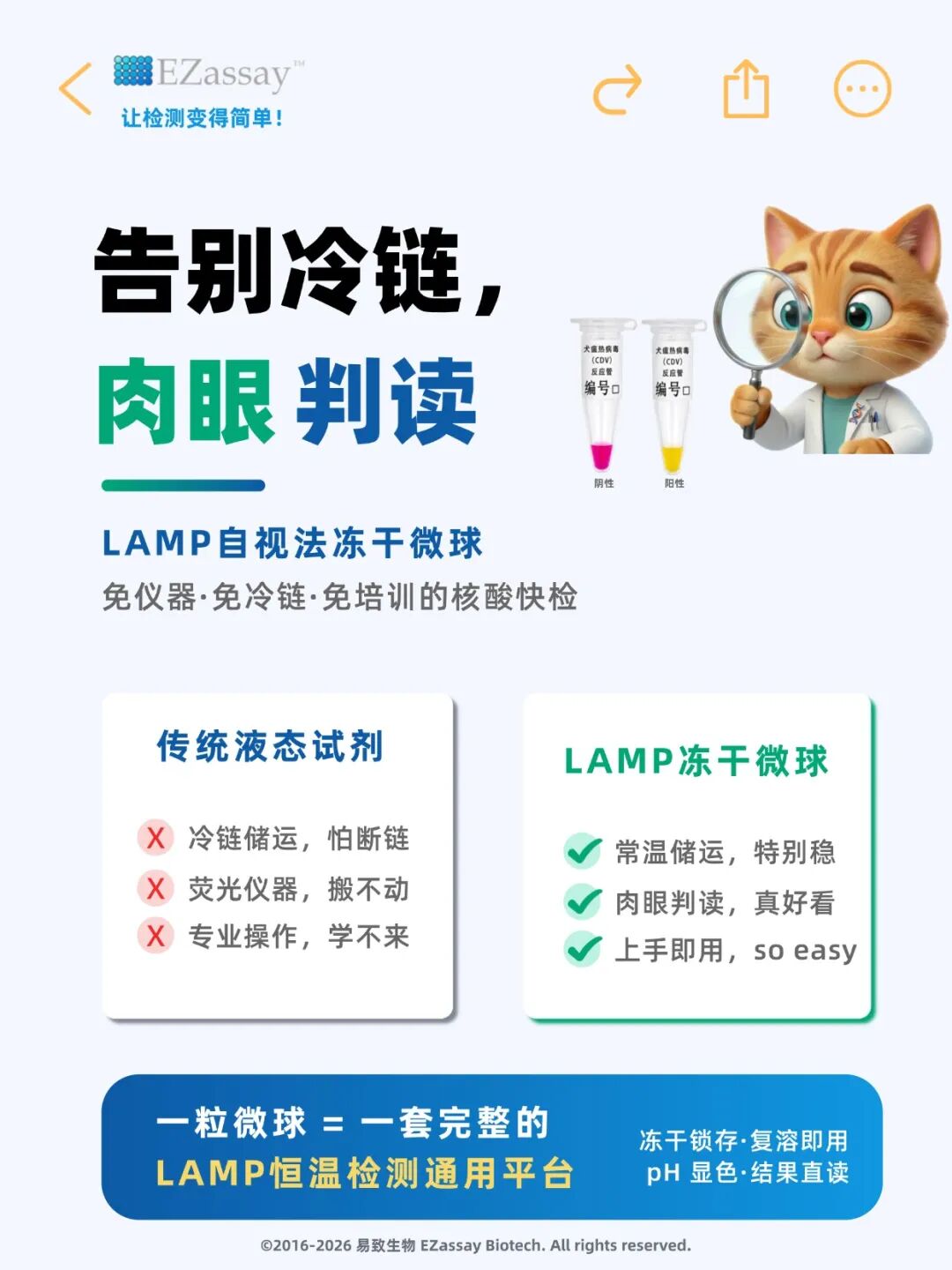 新闻图片2