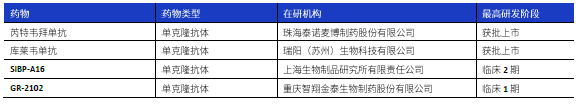 新闻图片3