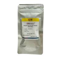 染料法一步法荧光定量专用预混液(ROX2 plus)