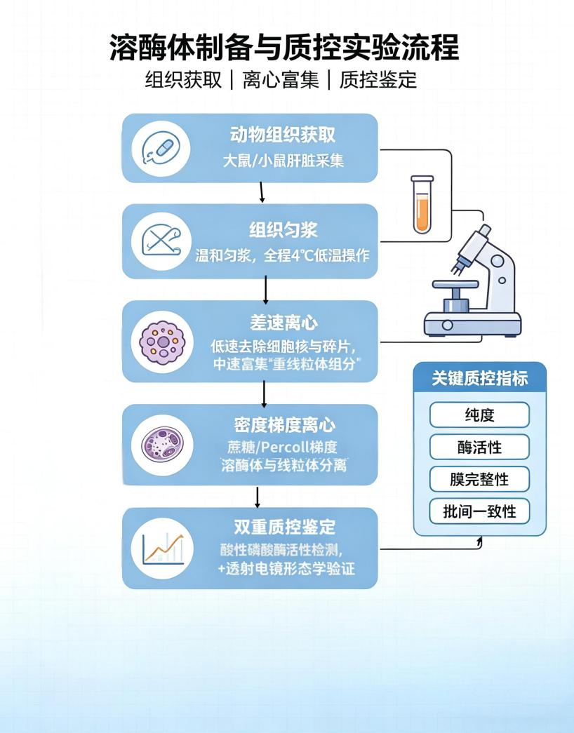 齐选 1-3.png
