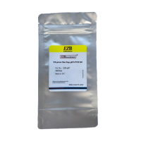 染料法一步法荧光定量专用预混液