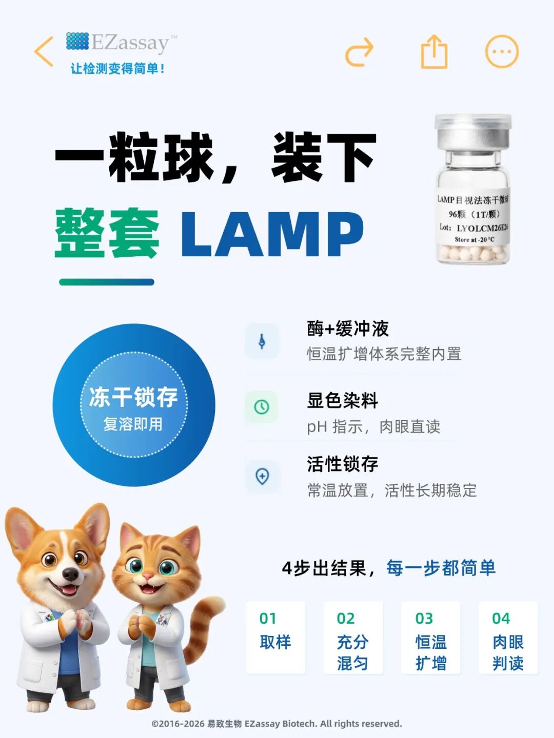 LAMP 目视法冻干微球：4 步出结果，65℃ 显色读结果