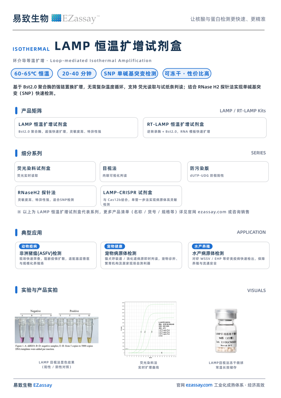 新闻图片3