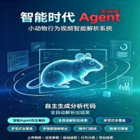 小动物行为视频智能解析系统