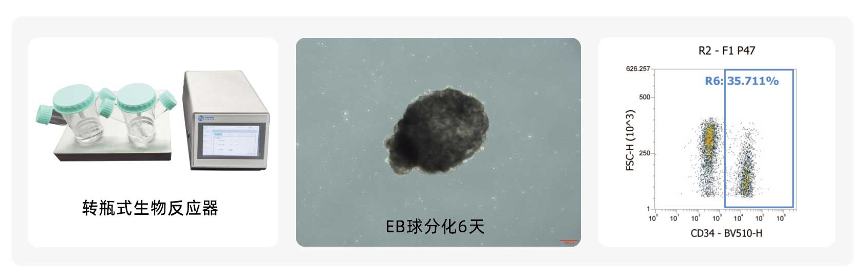 产品细节图片10