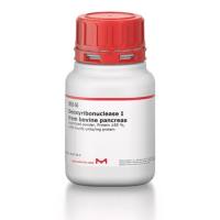 DN25-5G默克西格玛脱氧核糖核酸酶I来源于牛胰腺5g Merck Sigma