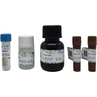 铁 (Fe) 含量检测试剂盒（亚铁嗪, 微量法），BioReagent，阿拉丁