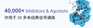 新闻图片4