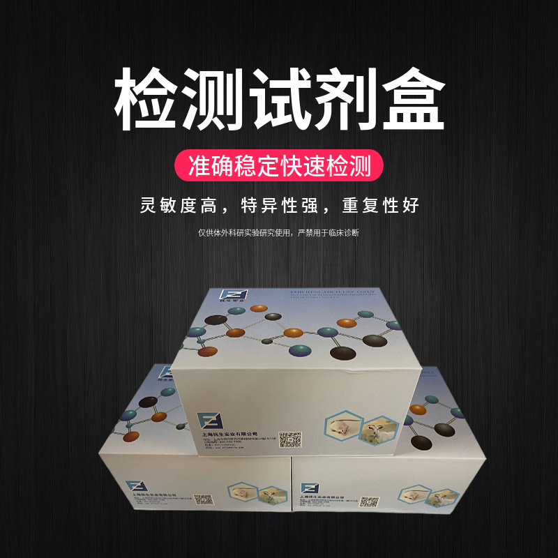 双抗体夹心ELISA：大分子、小分子，它更适合逮哪个？