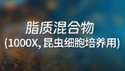脂质混合物(1000X)！昆虫细胞悬浮培养的可靠帮手