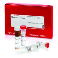 DUO92008-30RXN西格玛Duolink In Situ红色检测试剂Sigma-Aldrich