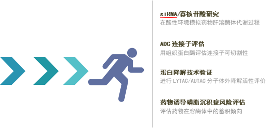 齐选 1-4.png