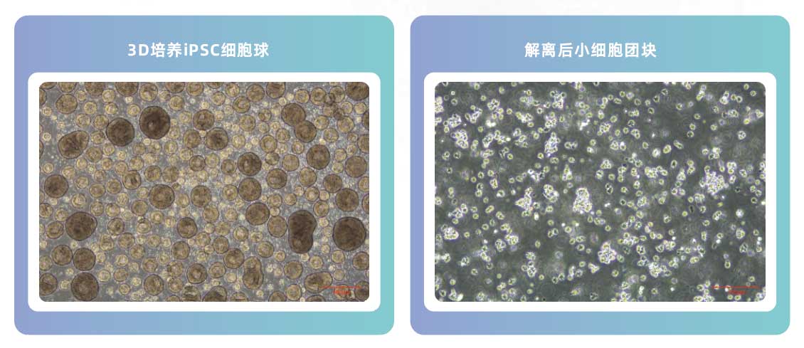 产品细节图片13
