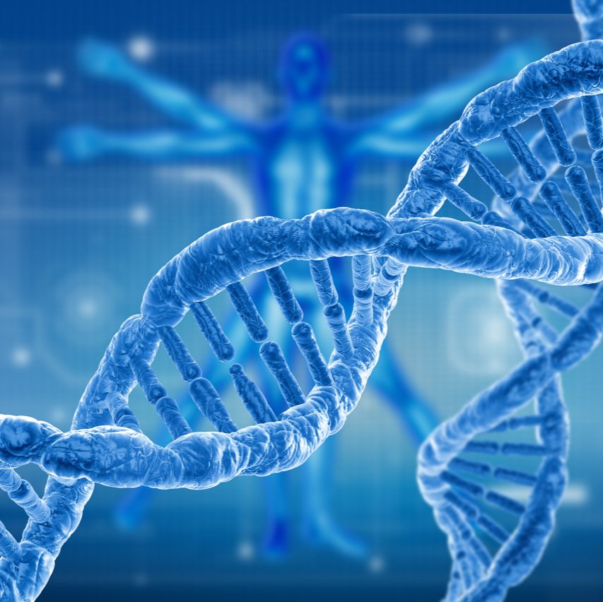 外泌体 microRNA 检测外参试剂盒