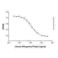 Recombinant Human IFN-gamma Protein，无载体,生物活性,ActiBioPure™,高性能,PBS Only,≥95%(SDS-PAGE)，阿拉丁