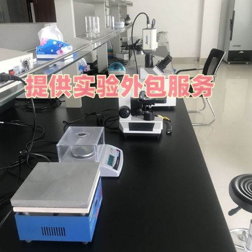 还原型谷胱甘肽 (GSH)实验代测服务产品图