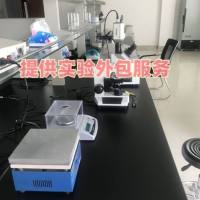 还原型谷胱甘肽 (GSH)实验代测服务