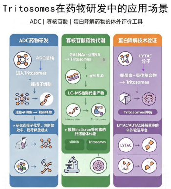 齐选 2-3.png