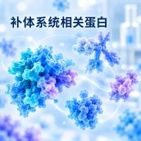 补体系统相关蛋白