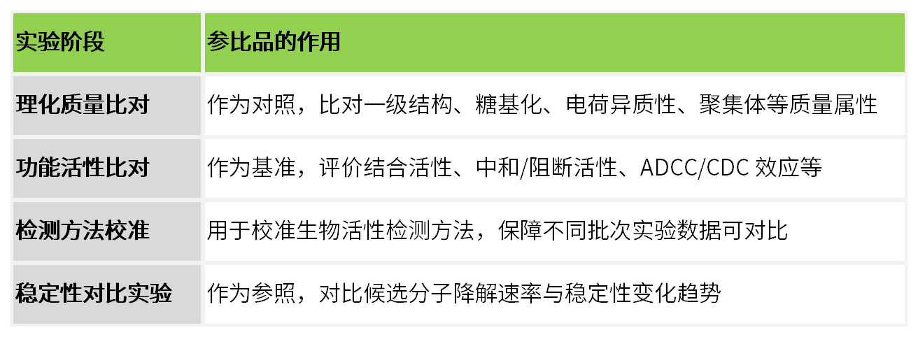 新闻图片2