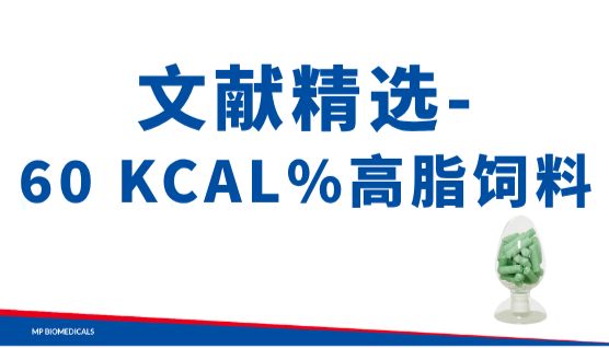 高脂饮食动物模型：从机制研究到干预评价的实验设计解析