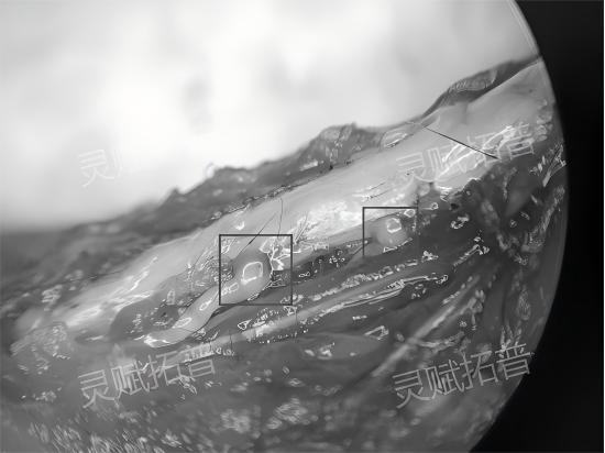 b15490228bfdb6c0f2868f45dfba2427.png