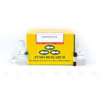 EZ RNA Methylation Kit(EZ RNA 甲基化试剂盒)