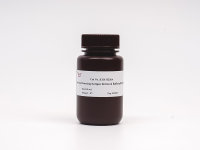 One-step Dewaxing/Antigen Retrieval Buffer(pH9.0)(20×)