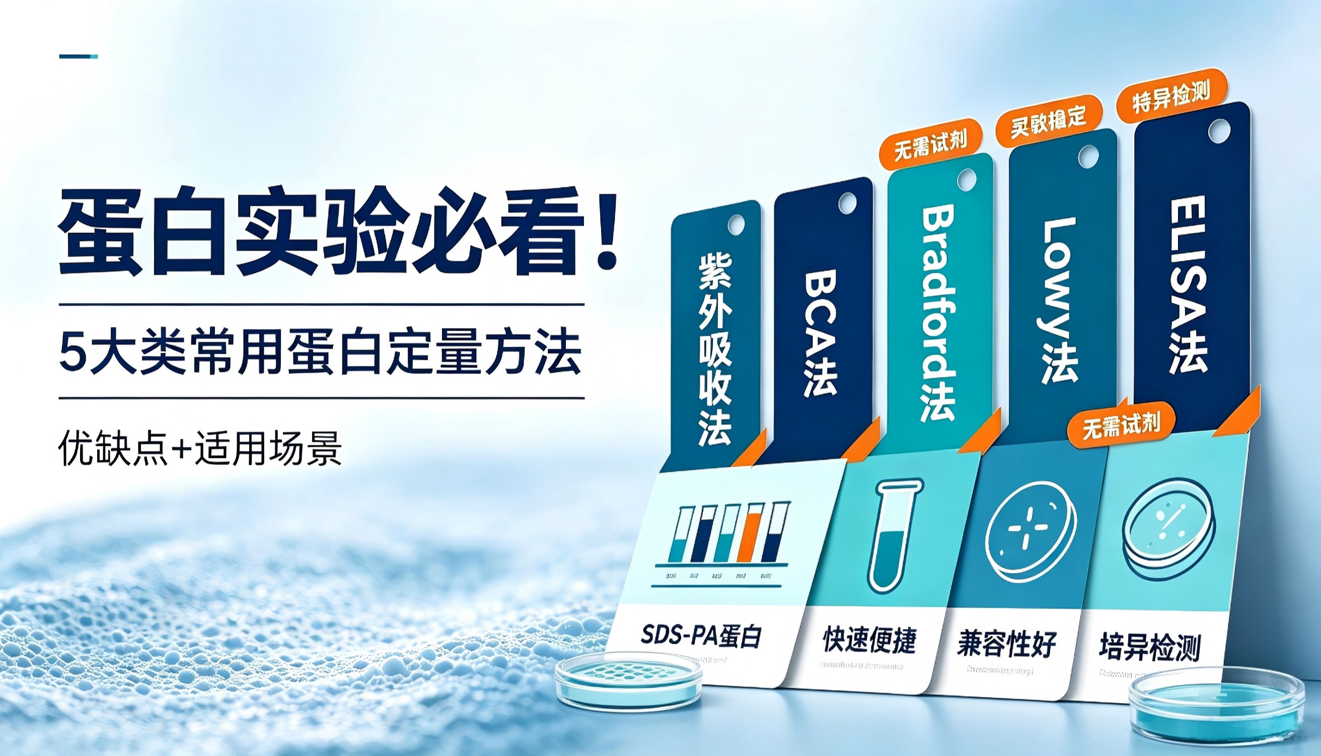 5大类常用蛋白定量方法，优缺点+适用场景