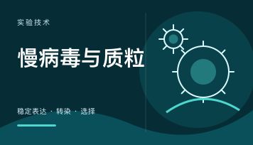 慢病毒和质粒到底有什么区别？什么时候该用慢病毒什么时候用质粒