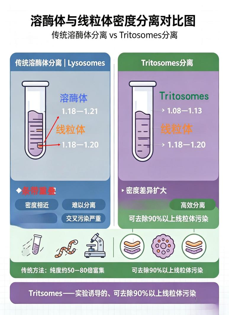 齐选 2-2.png