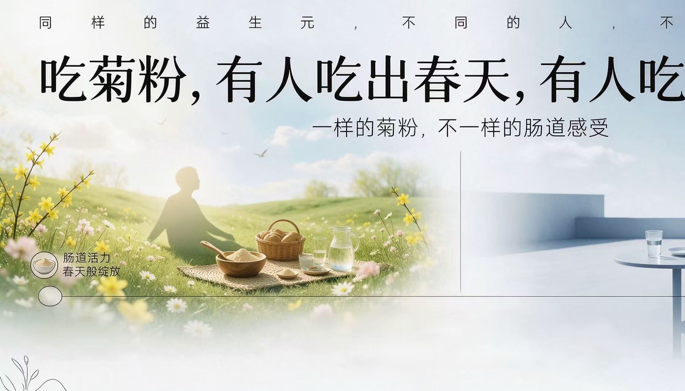 吃菊粉，有人吃出春天，有人吃了个寂寞
