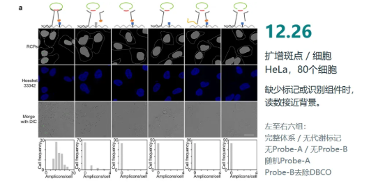 技术资料图片11