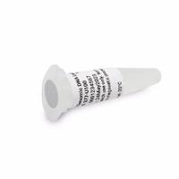 DNF-377-U100安捷伦HS基因组DNA分子量标准品100µL Agilent