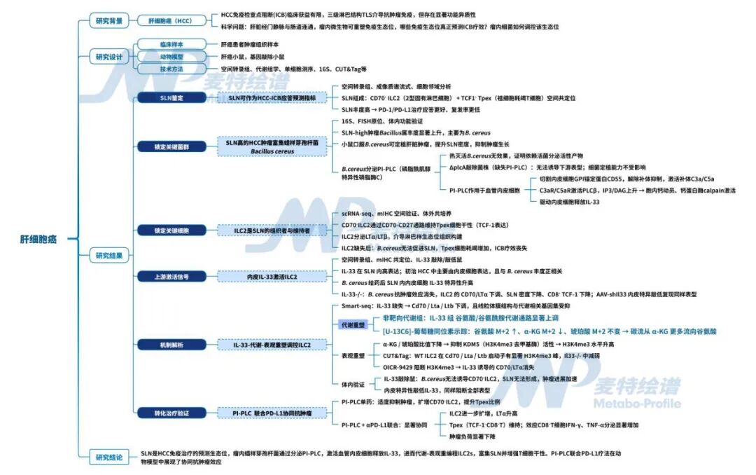 客户案例 | Cancer Cell：肝癌免疫总耐药？瘤内蜡样芽孢杆菌促进干细胞样淋巴生态位形成并增强肝癌免疫治疗应答
