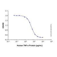 Recombinant Human TNF-α Protein,无载体,生物活性,ActiBioPure™,高性能,PBS Only,≥95%(SDS-PAGE),阿拉丁