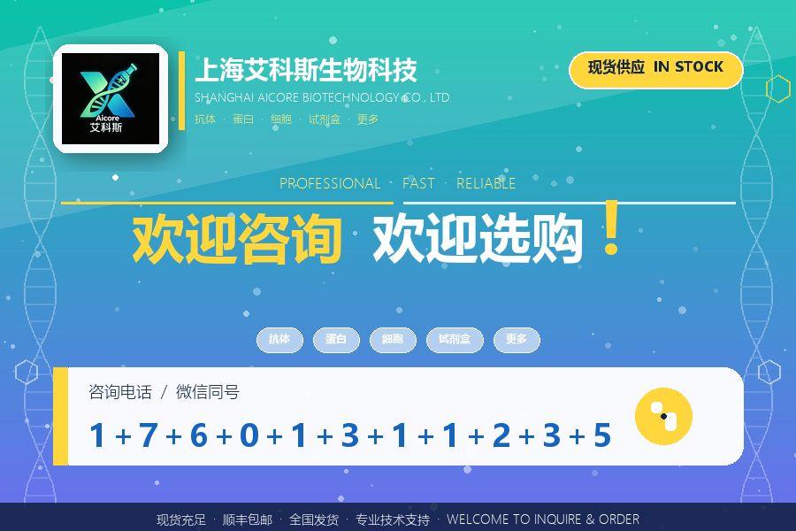 PEI转染后几小时换液？